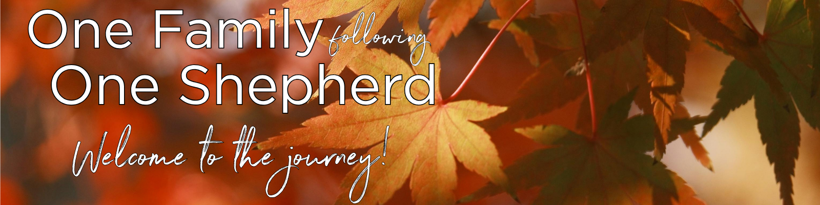 Fall One Family Carousel Header